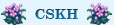 CSKH